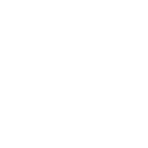 NN Productions